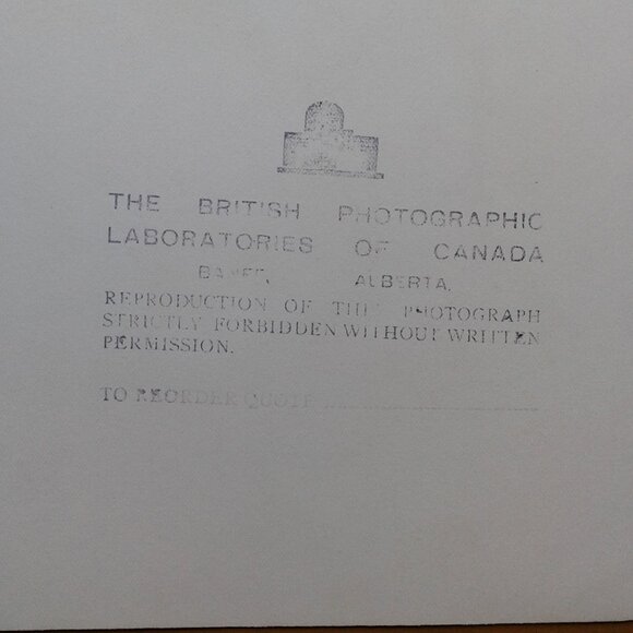 Collection of Vintage Photo Prints - Picture 4 of 6